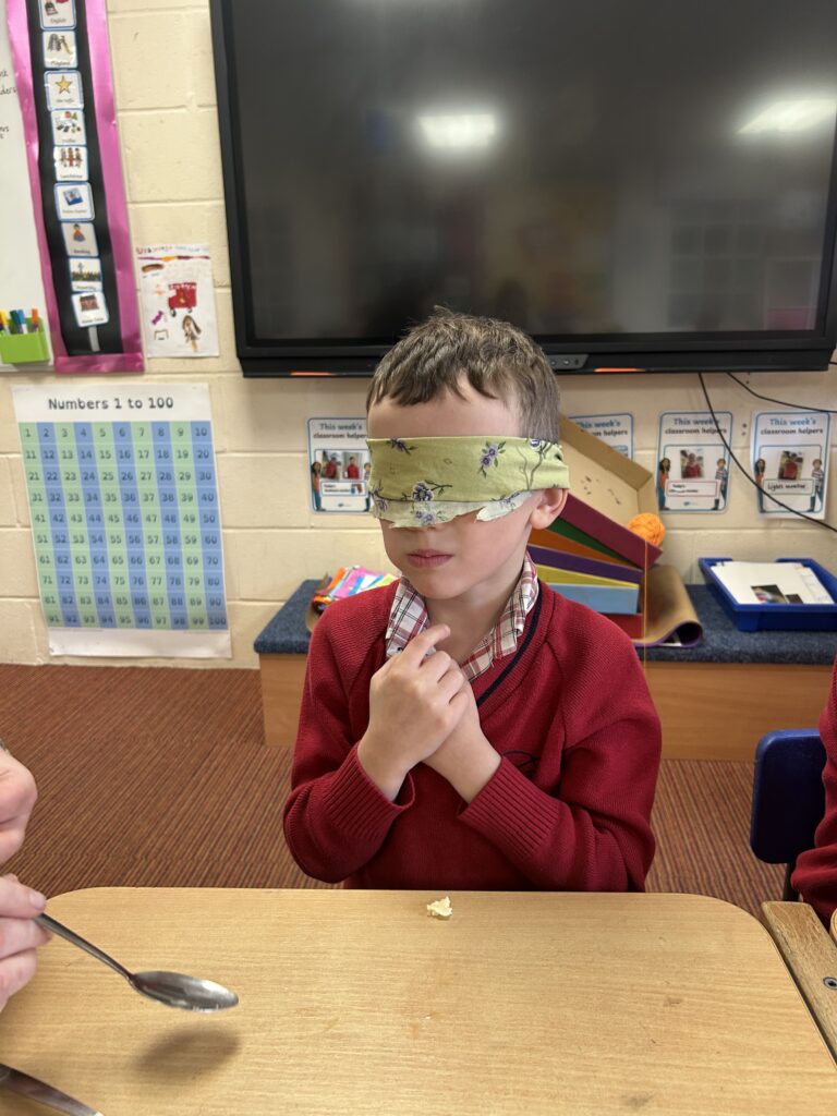 Using our senses, Copthill School