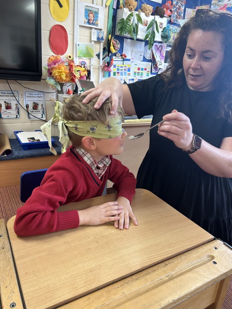 Using our senses, Copthill School