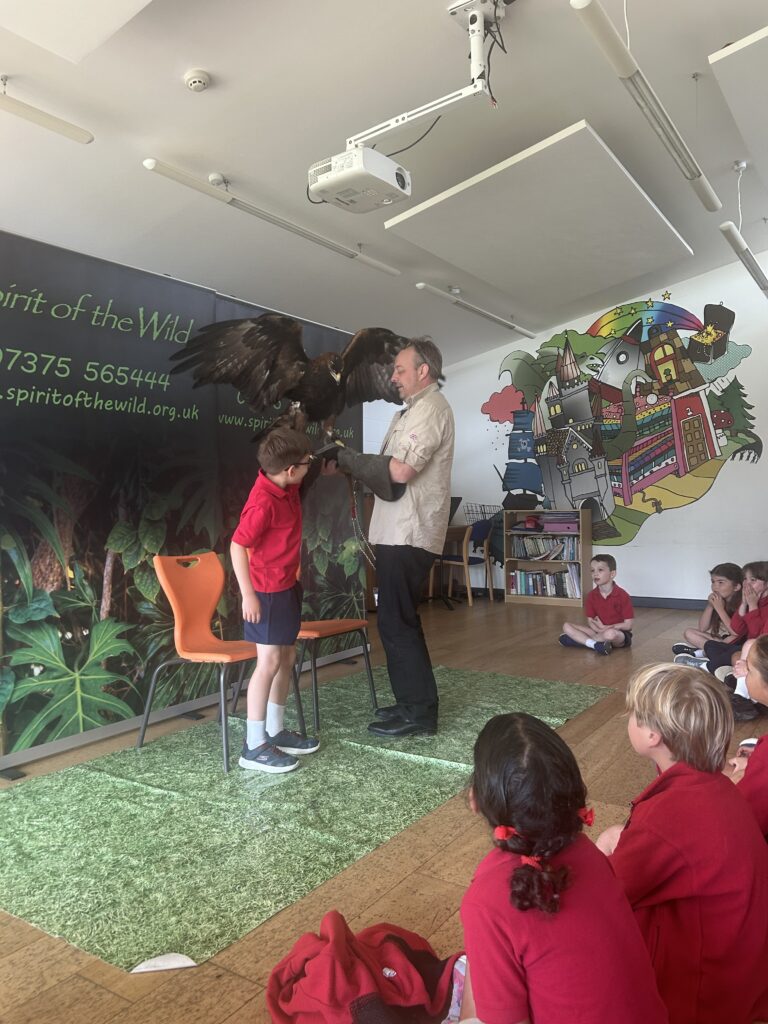 Animal Magic, Copthill School