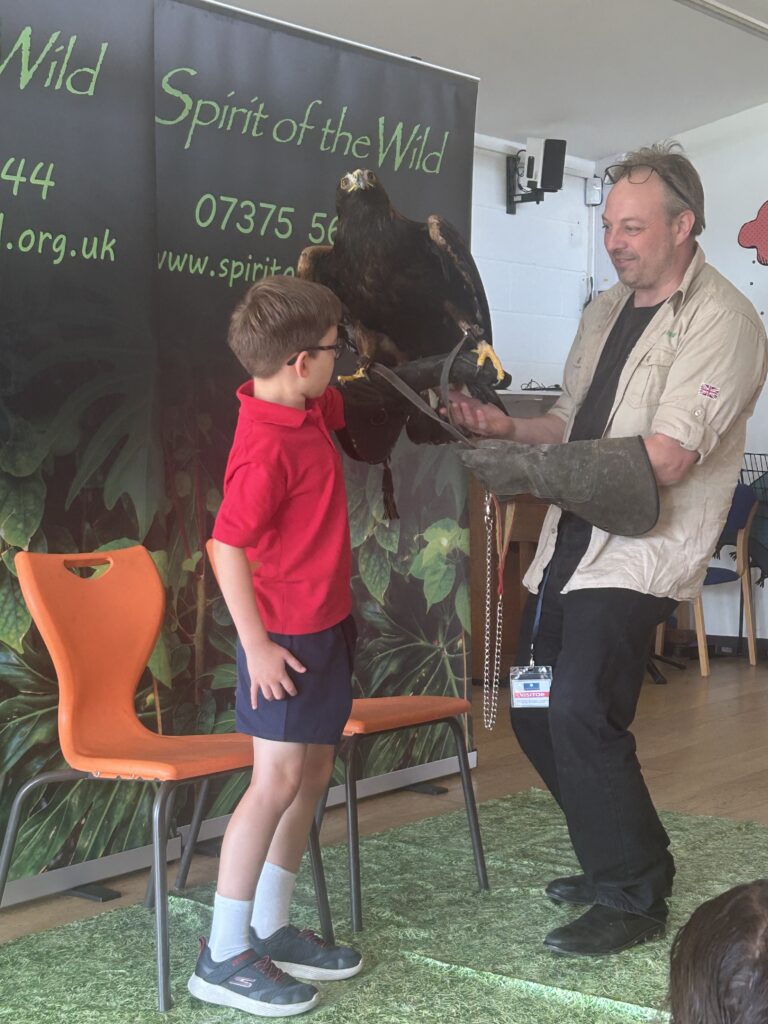 Animal Magic, Copthill School