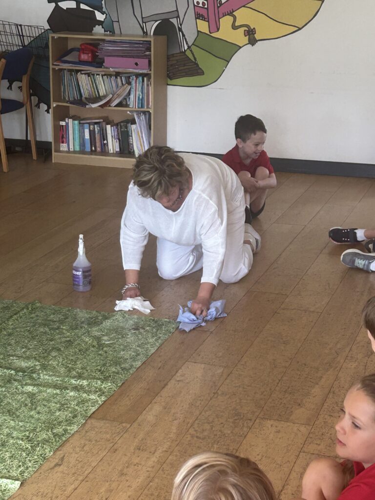 Animal Magic, Copthill School