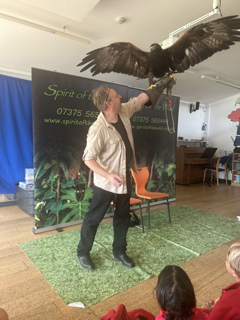 Animal Magic, Copthill School
