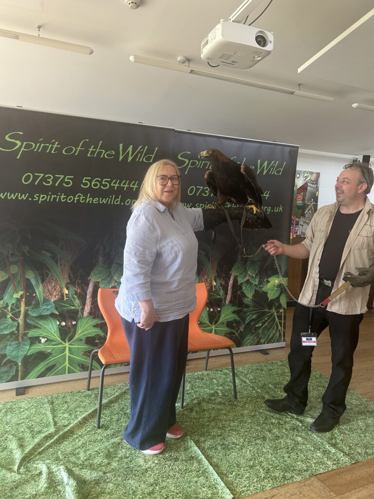 Animal Magic, Copthill School