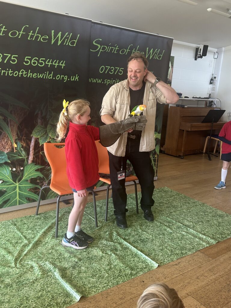 Animal Magic, Copthill School