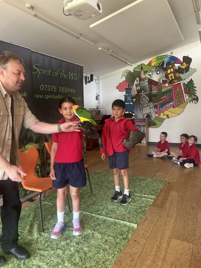 Animal Magic, Copthill School