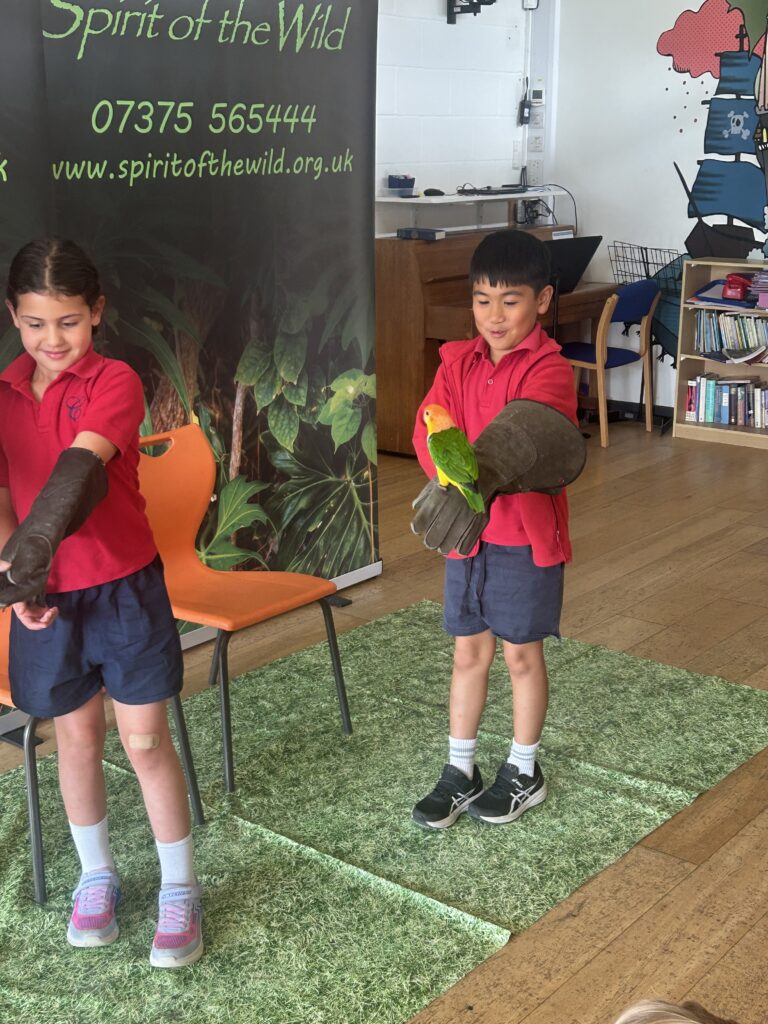 Animal Magic, Copthill School