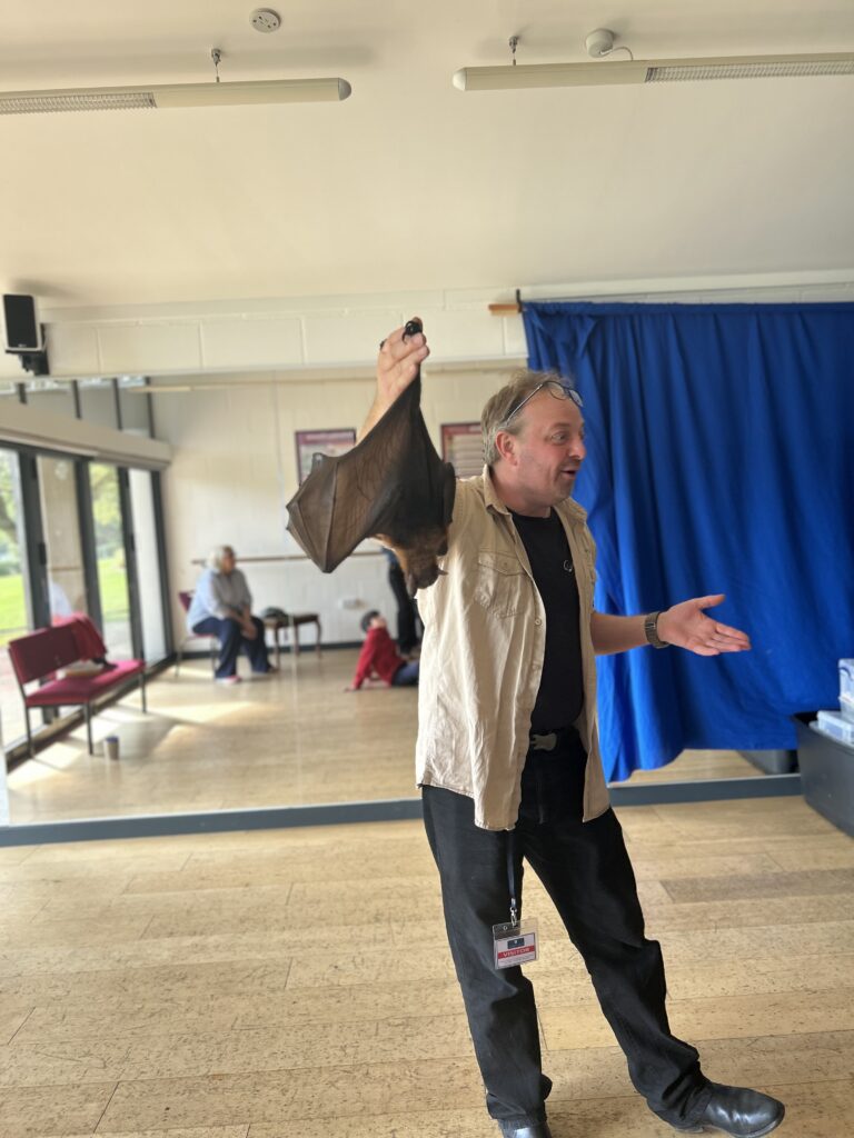 Animal Magic, Copthill School