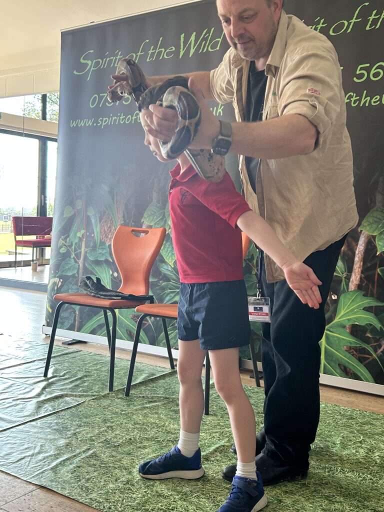 Animal Magic, Copthill School