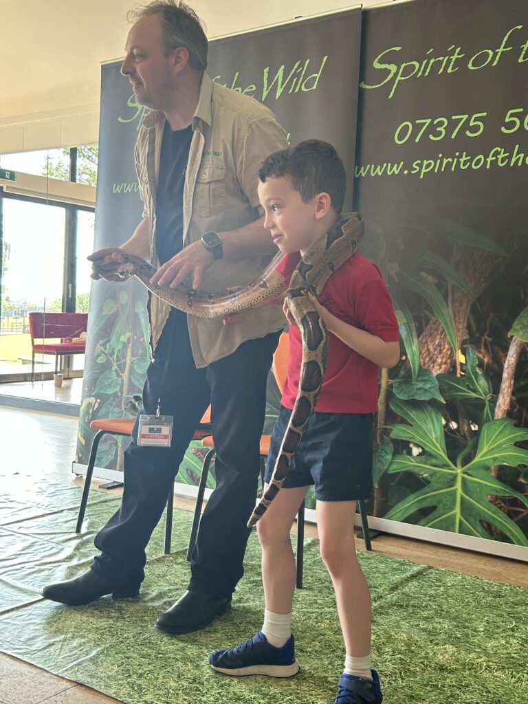 Animal Magic, Copthill School