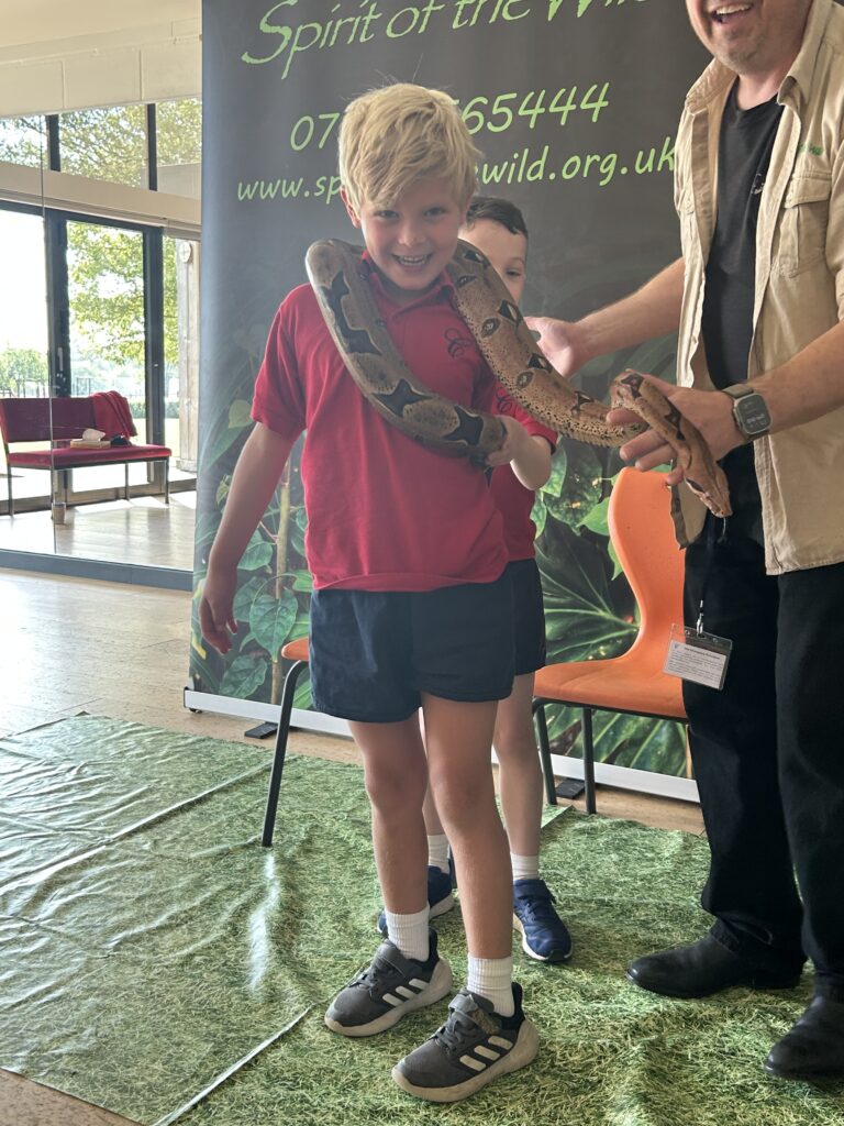 Animal Magic, Copthill School