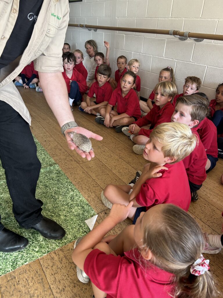 Animal Magic, Copthill School