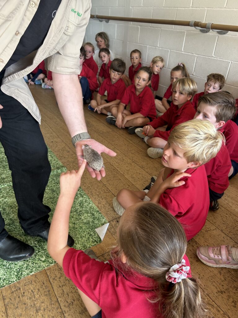 Animal Magic, Copthill School