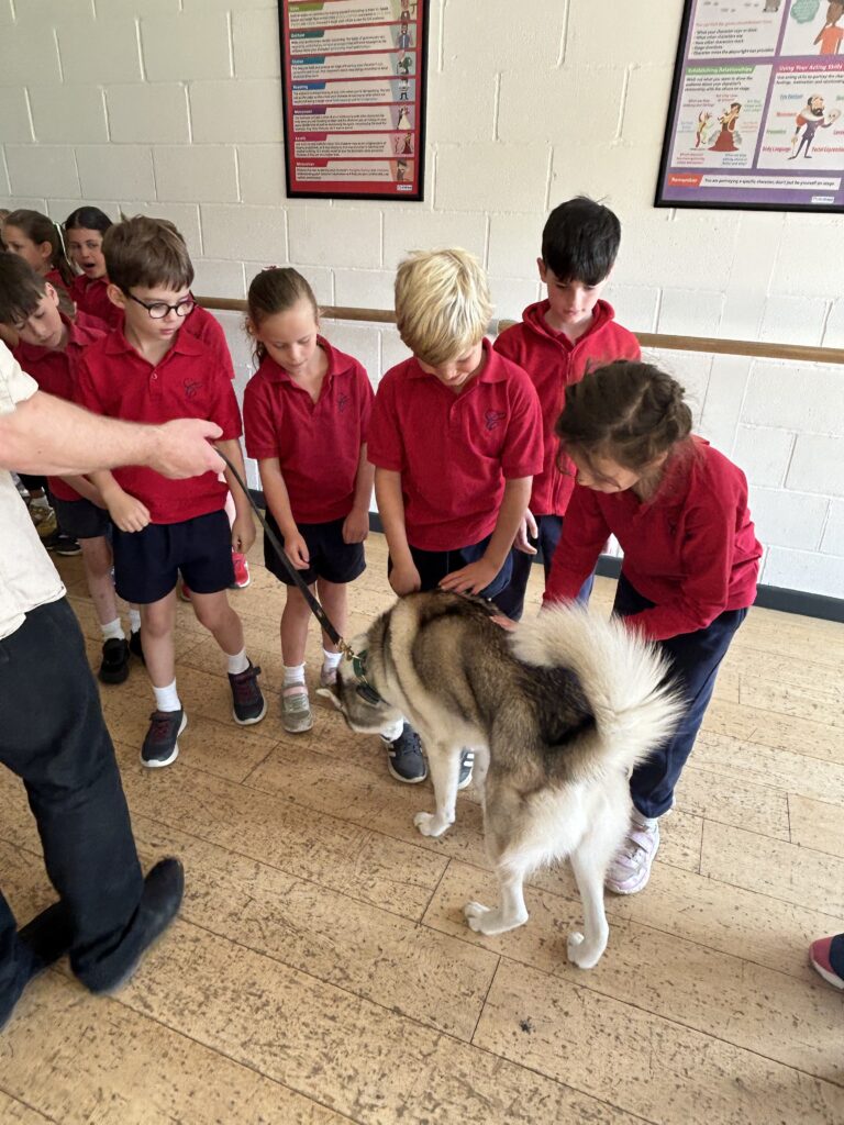 Animal Magic, Copthill School