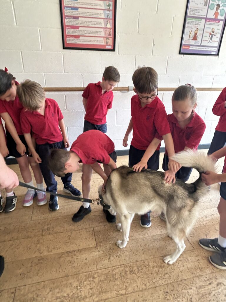 Animal Magic, Copthill School
