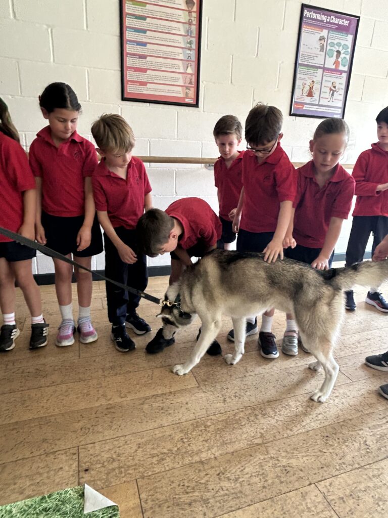 Animal Magic, Copthill School