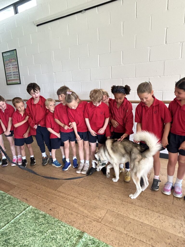 Animal Magic, Copthill School