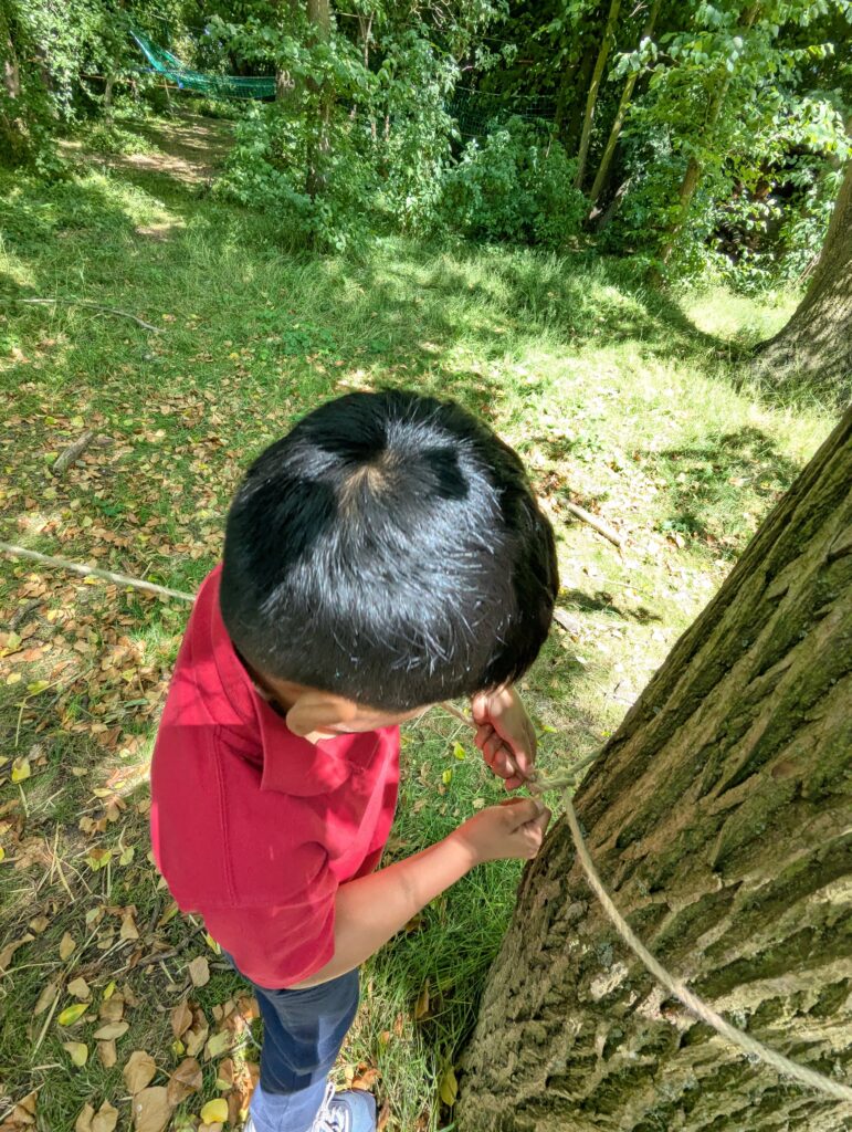 Using our senses, Copthill School