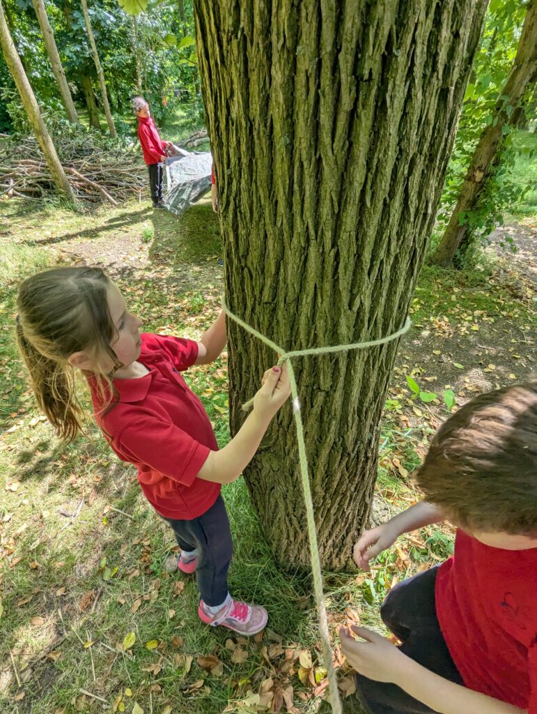 Using our senses, Copthill School