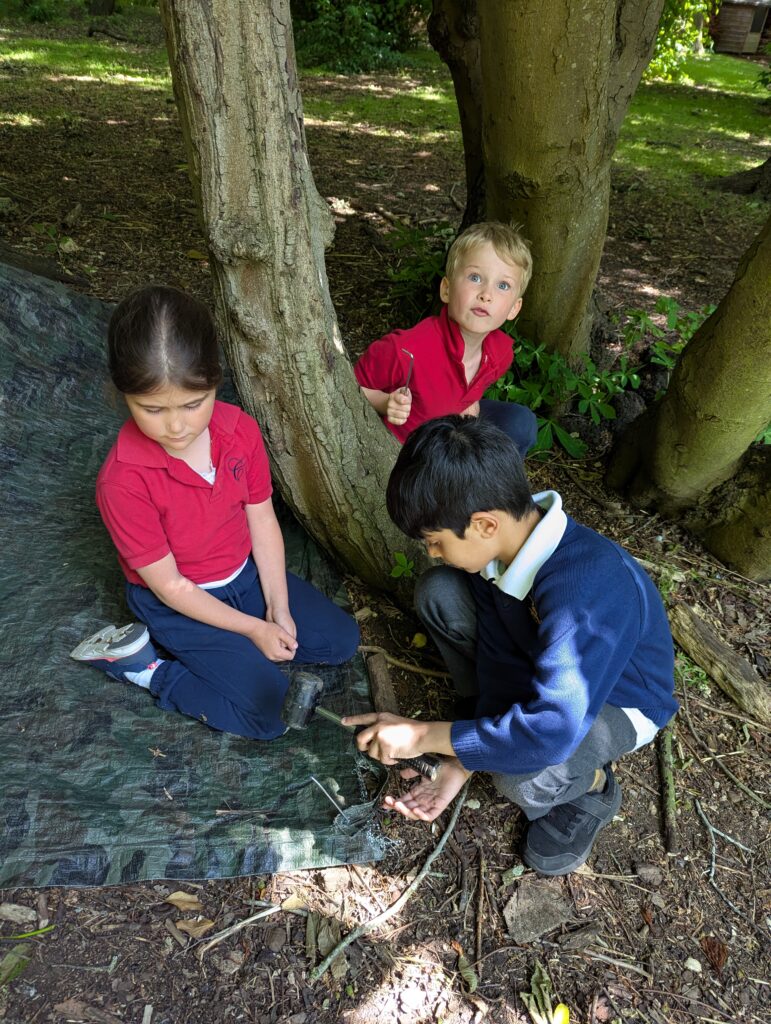 Using our senses, Copthill School