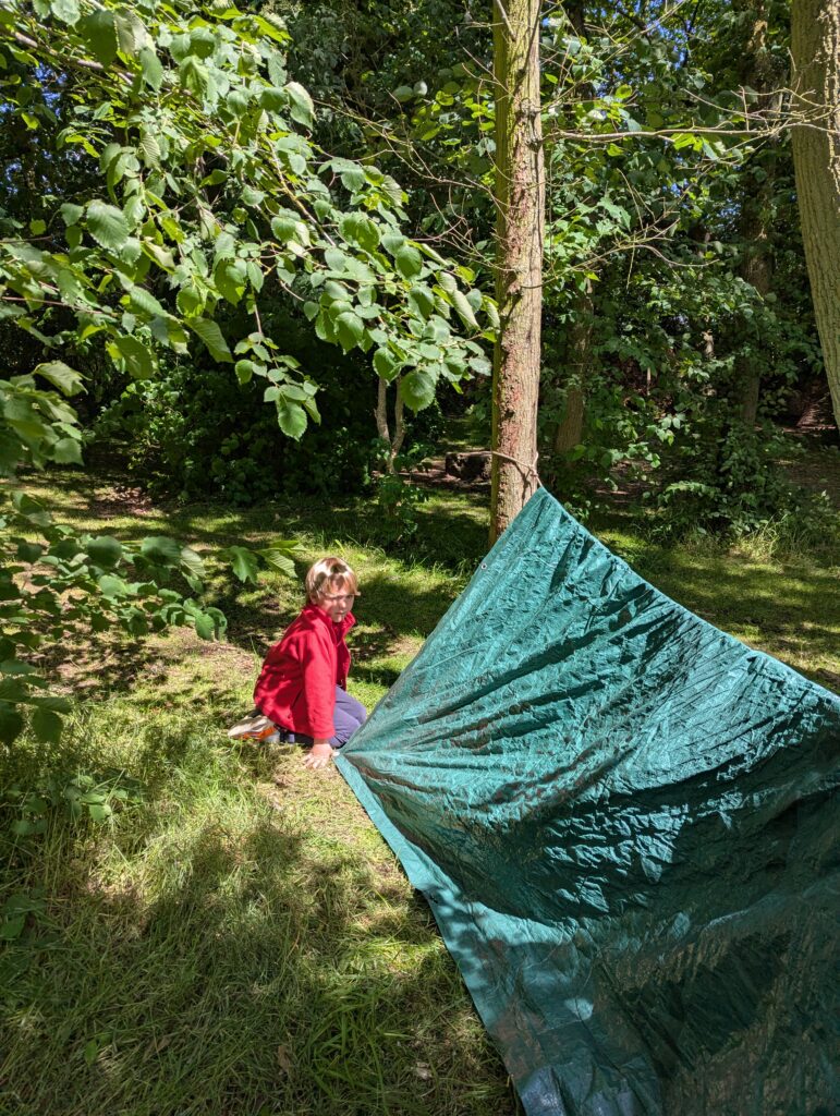 Using our senses, Copthill School