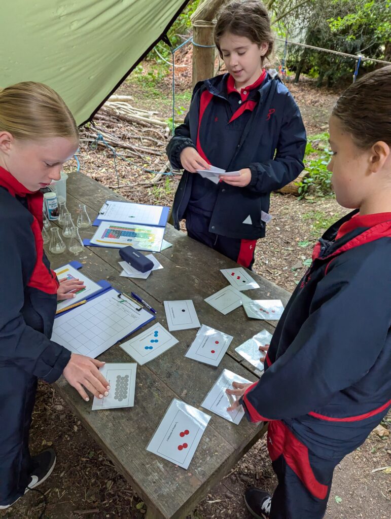6B explore the periodic table GOAL, Copthill School