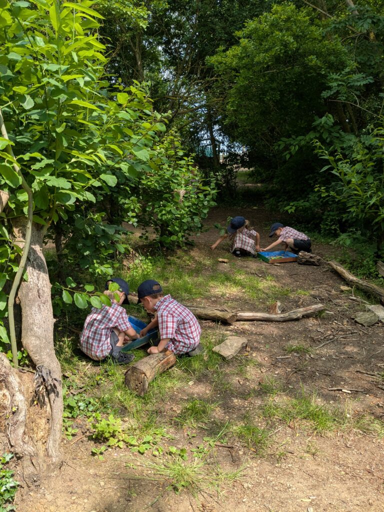 🌞 A Perfect Day for Fantasy Island Creations! 🌴, Copthill School