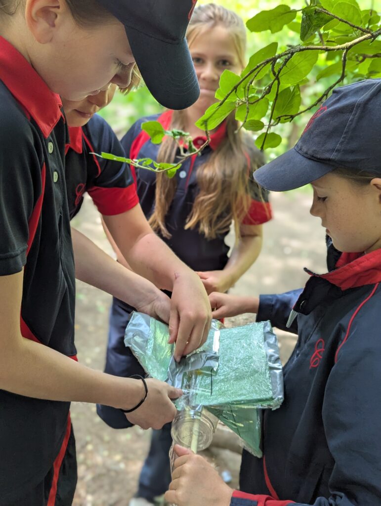 5C Hydroelectric dams, Copthill School