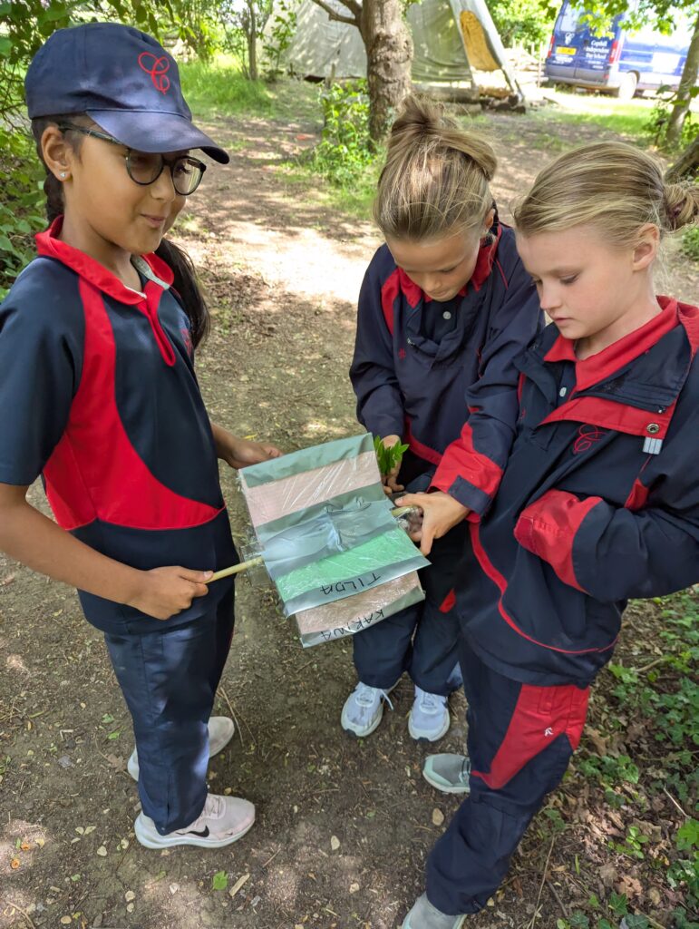 5C Hydroelectric dams, Copthill School