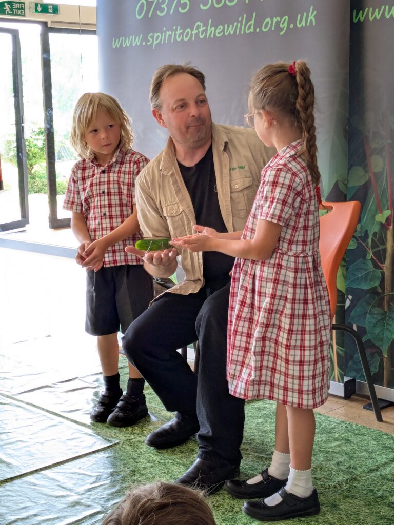 An amazing animal encounter!, Copthill School