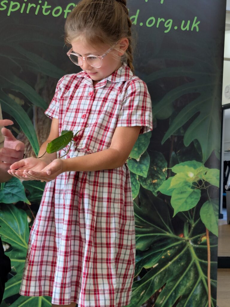 An amazing animal encounter!, Copthill School