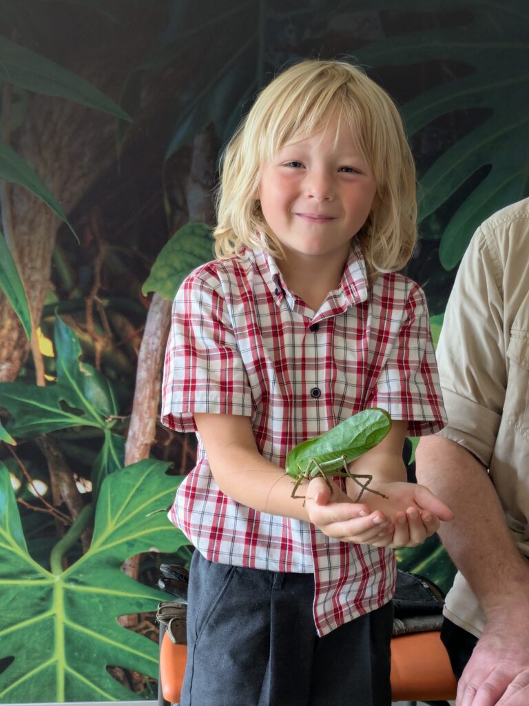 An amazing animal encounter!, Copthill School
