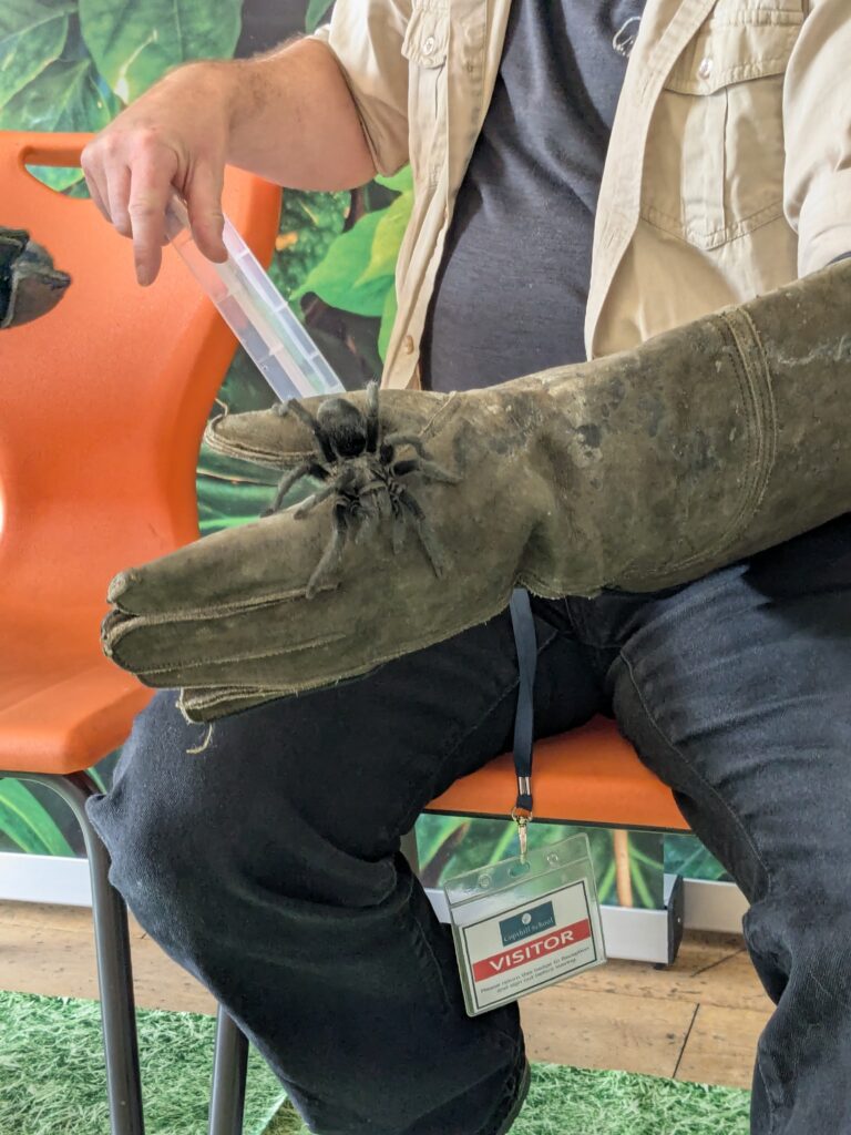 An amazing animal encounter!, Copthill School
