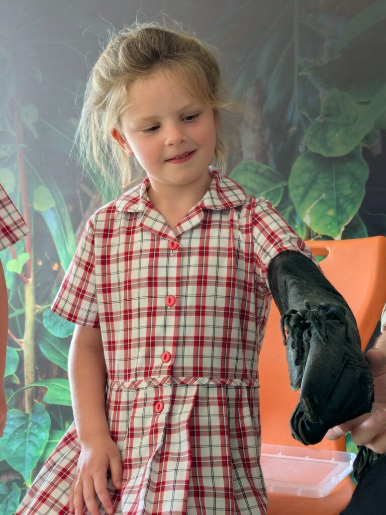 An amazing animal encounter!, Copthill School