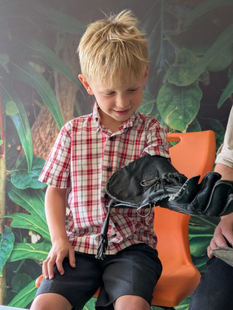 An amazing animal encounter!, Copthill School