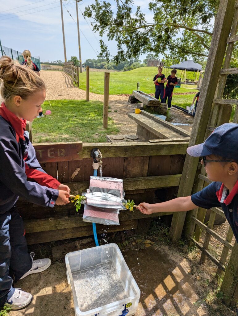 5C Hydroelectric dams, Copthill School