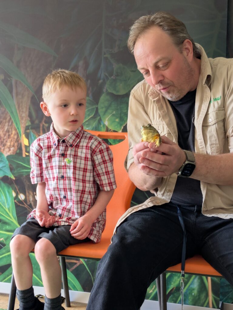 An amazing animal encounter!, Copthill School