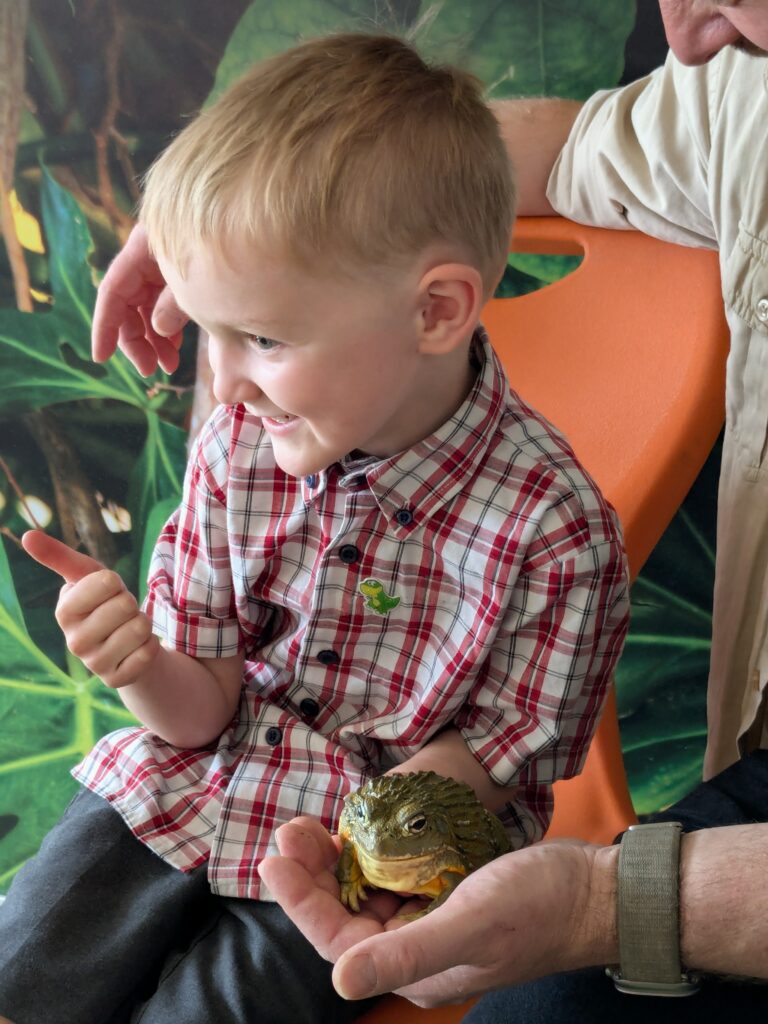 An amazing animal encounter!, Copthill School