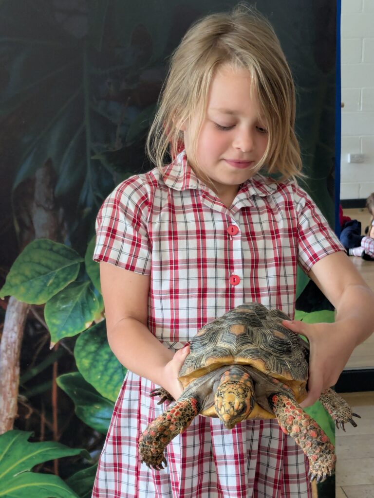 An amazing animal encounter!, Copthill School