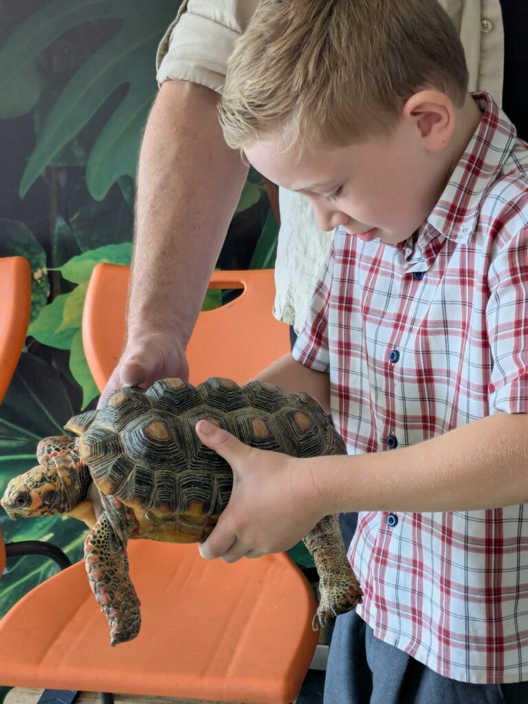 An amazing animal encounter!, Copthill School