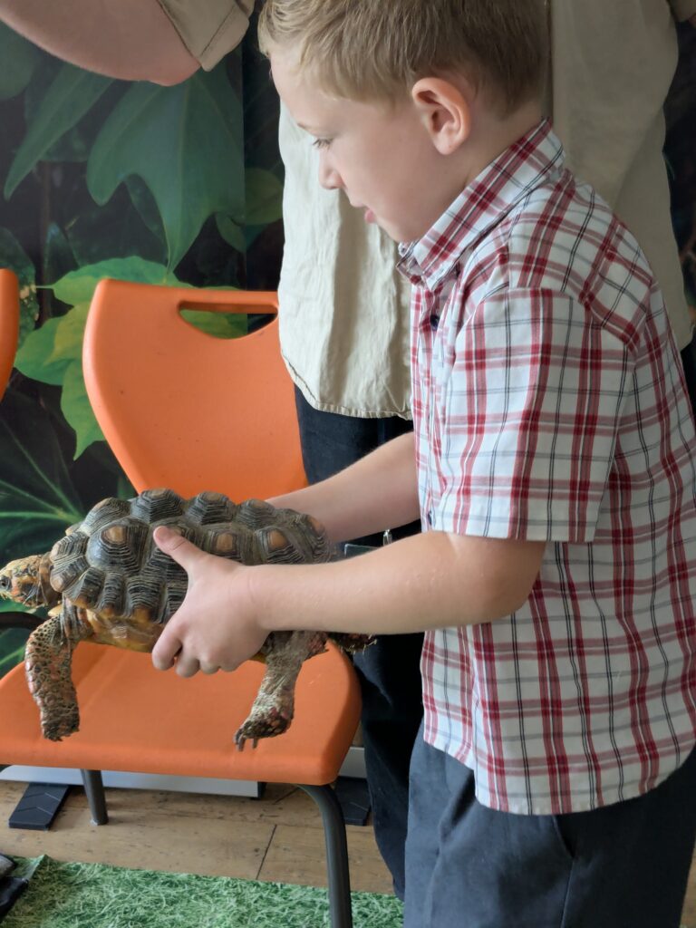 An amazing animal encounter!, Copthill School