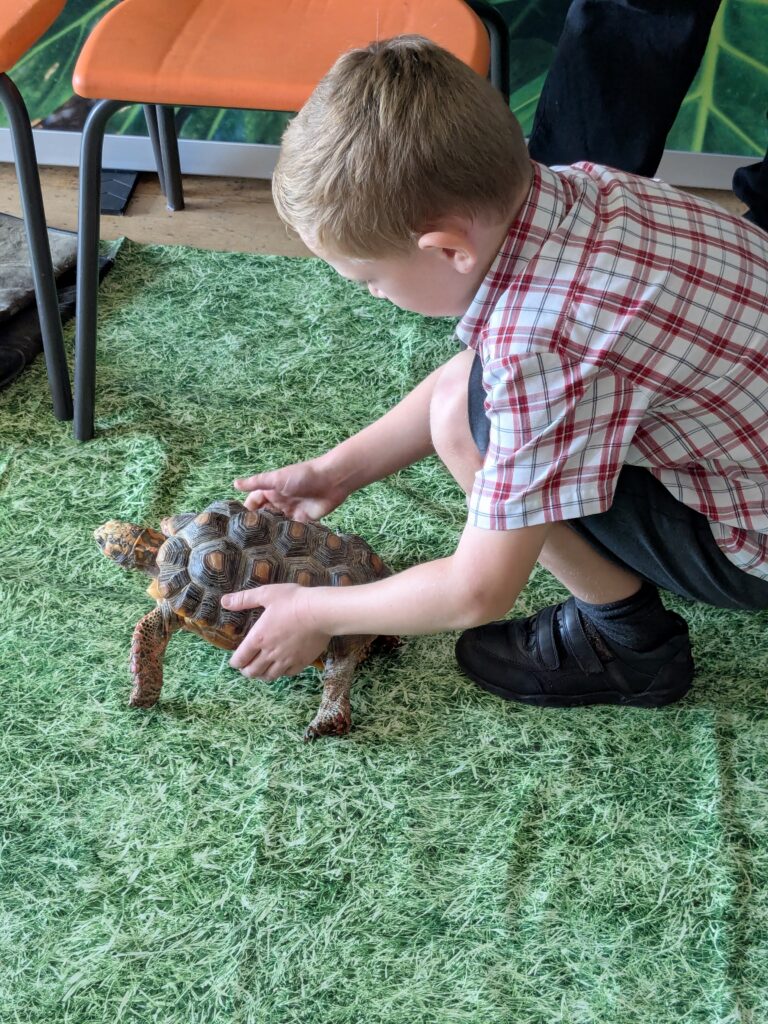 An amazing animal encounter!, Copthill School