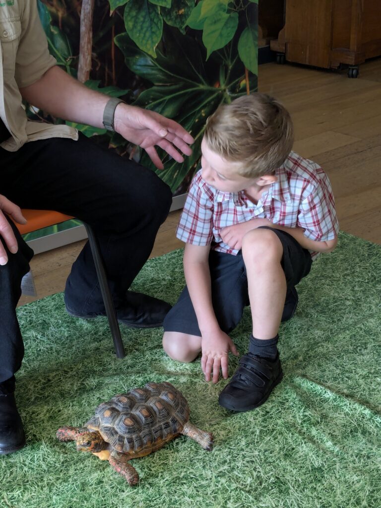 An amazing animal encounter!, Copthill School