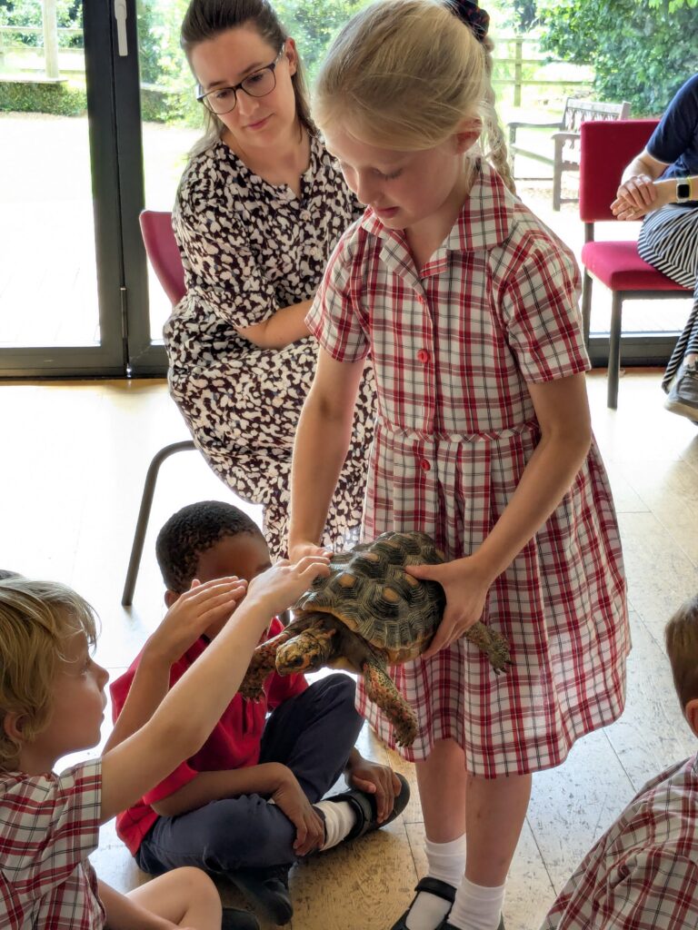 An amazing animal encounter!, Copthill School