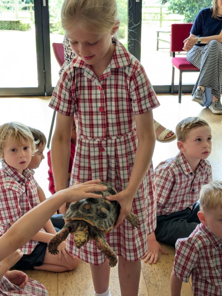An amazing animal encounter!, Copthill School