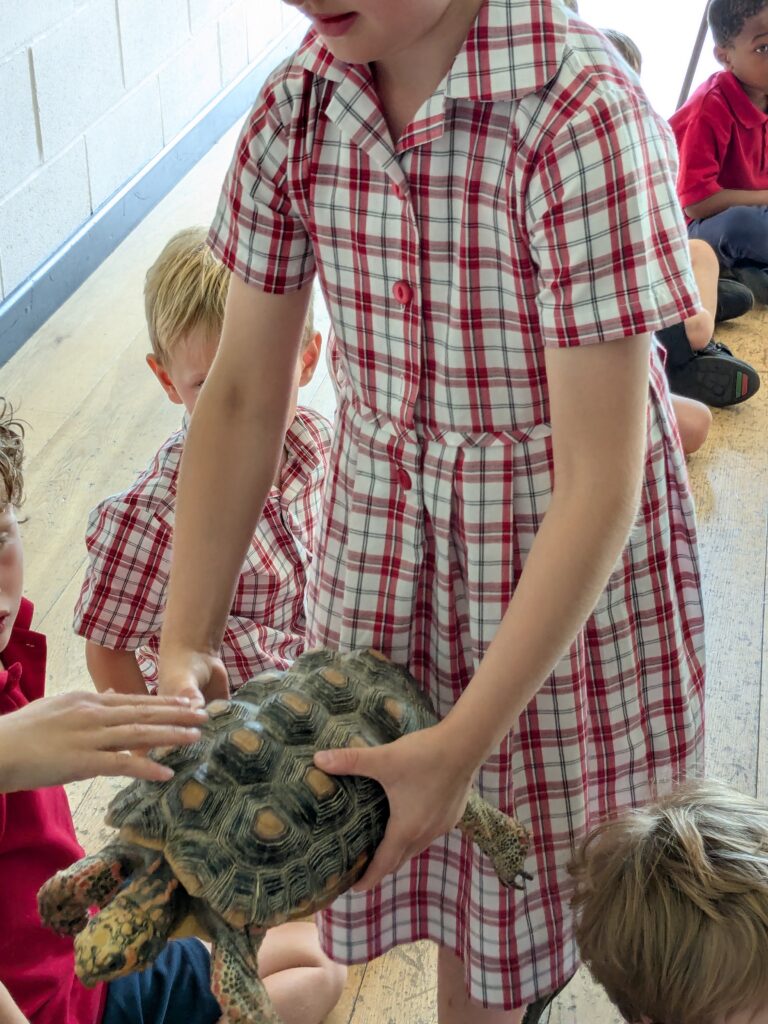 An amazing animal encounter!, Copthill School