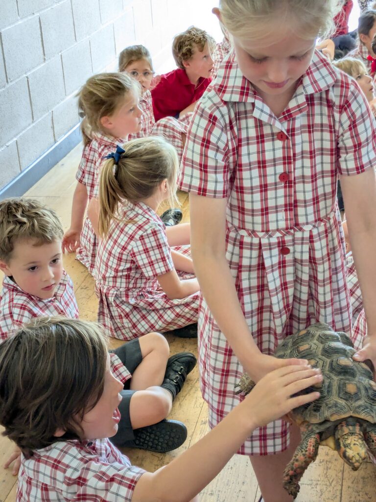 An amazing animal encounter!, Copthill School