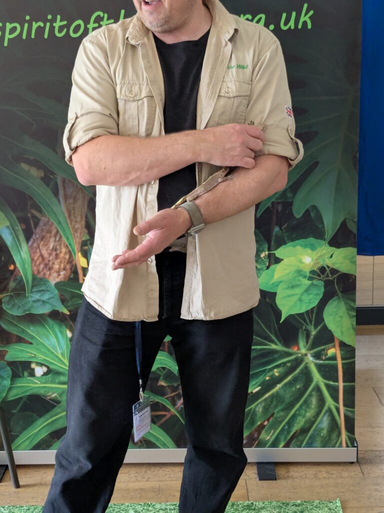 An amazing animal encounter!, Copthill School