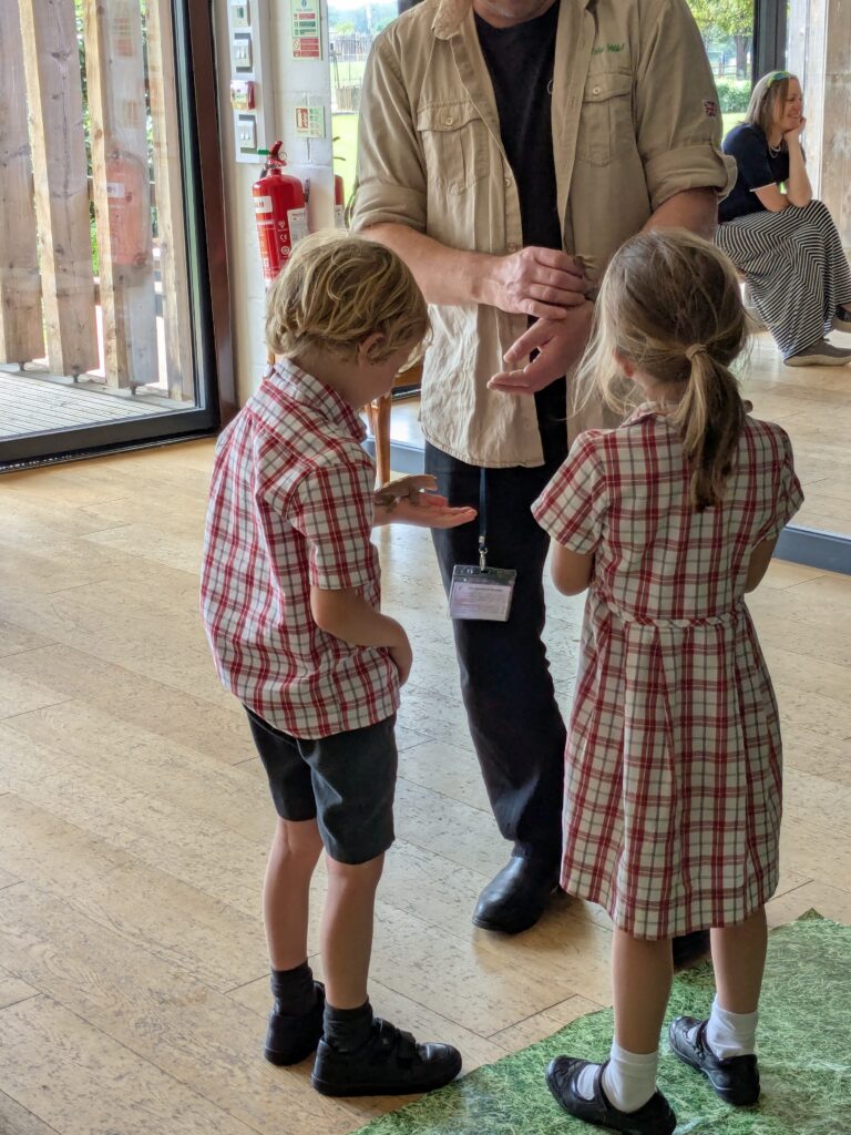 An amazing animal encounter!, Copthill School