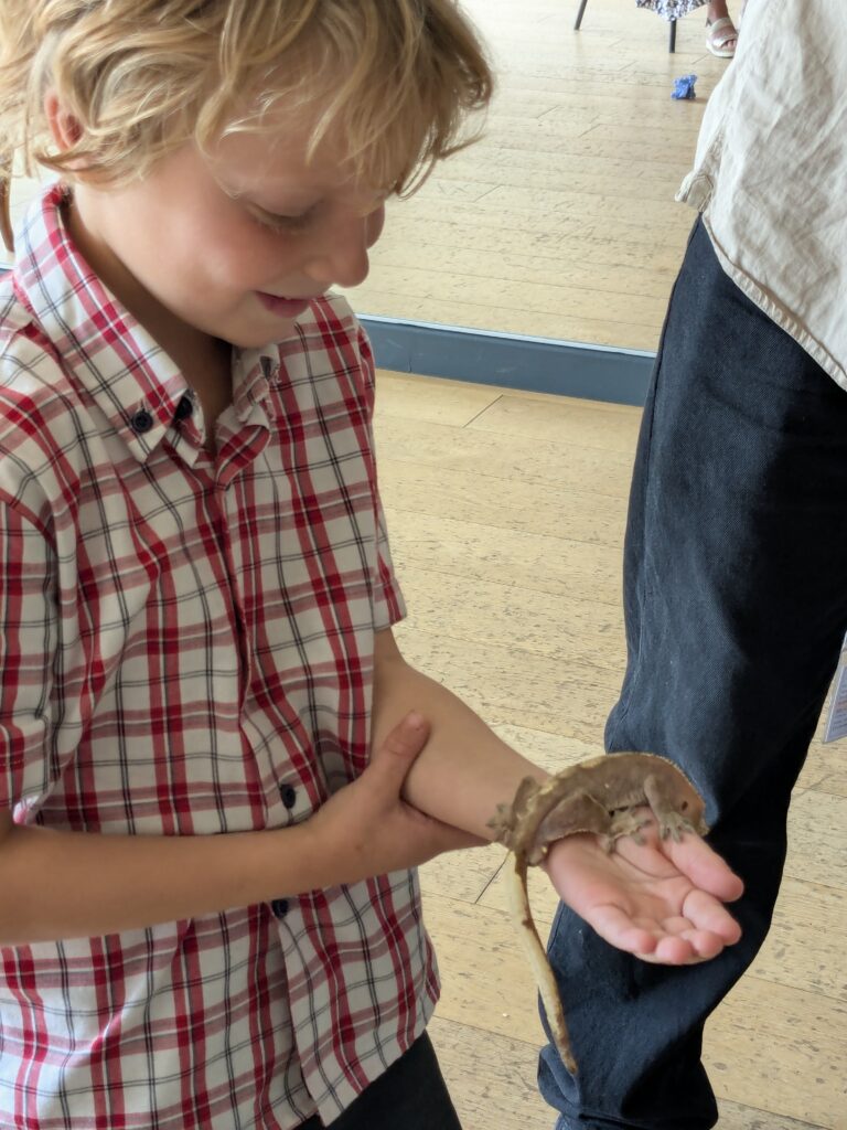 An amazing animal encounter!, Copthill School