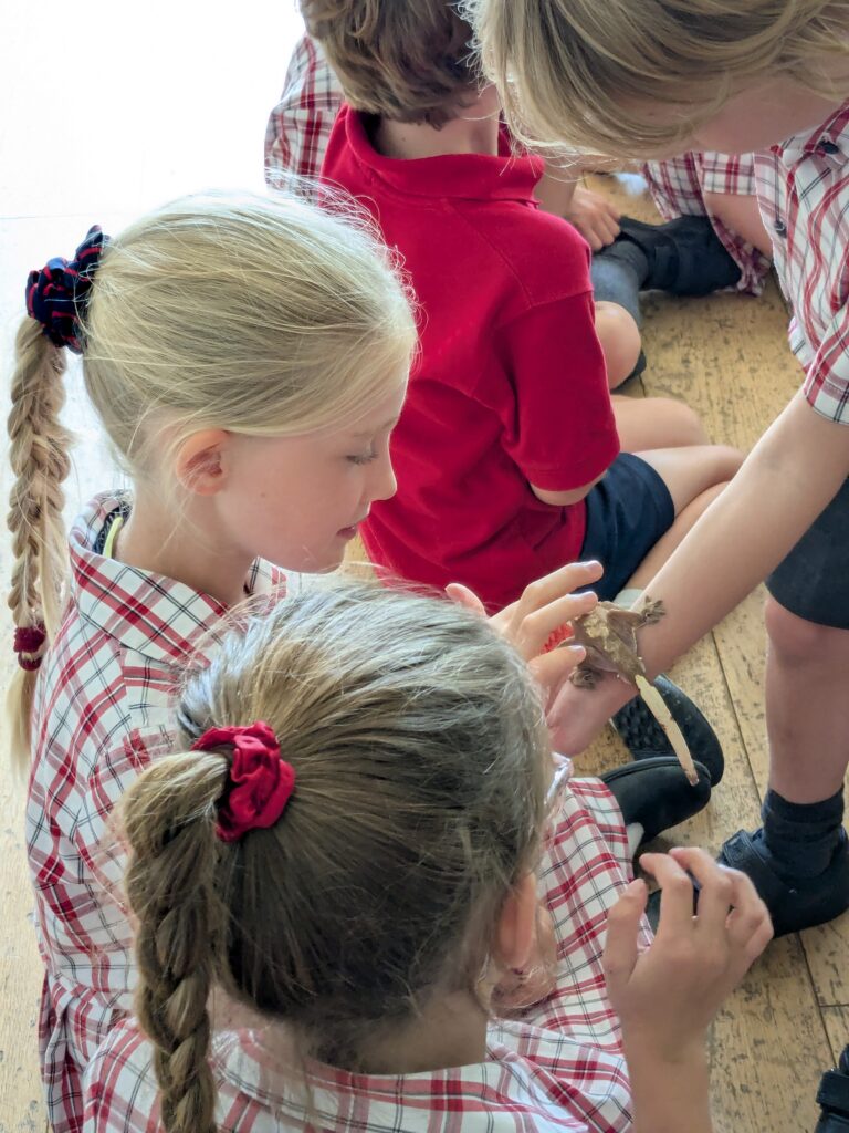 An amazing animal encounter!, Copthill School